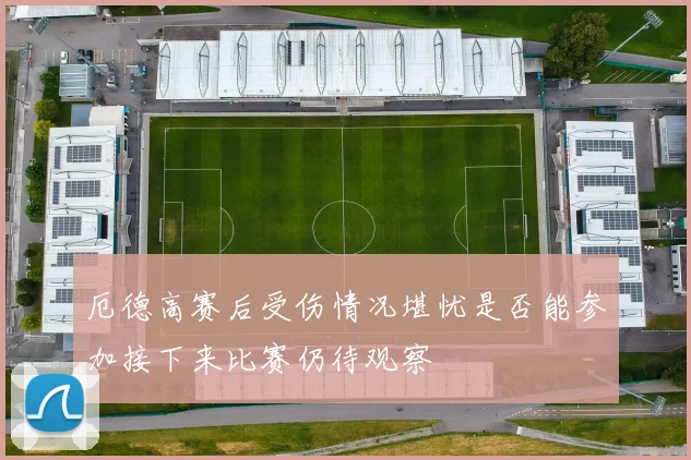厄德高赛后受伤情况堪忧是否能参加接下来比赛仍待观察