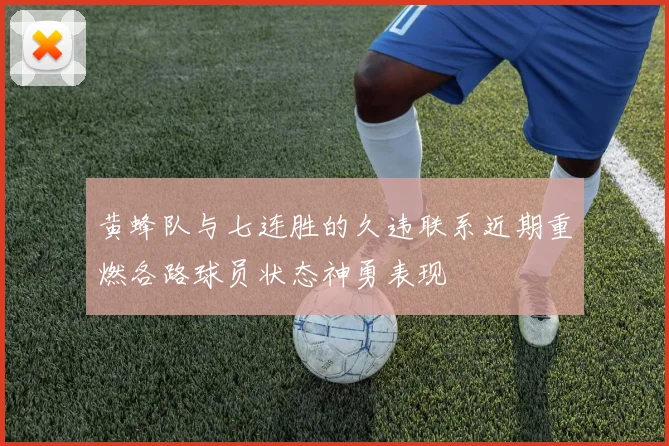 黄蜂队与七连胜的久违联系近期重燃各路球员状态神勇表现