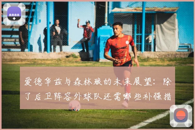 爱德华兹与森林狼的未来展望：除了后卫阵容外球队还需哪些补强措施