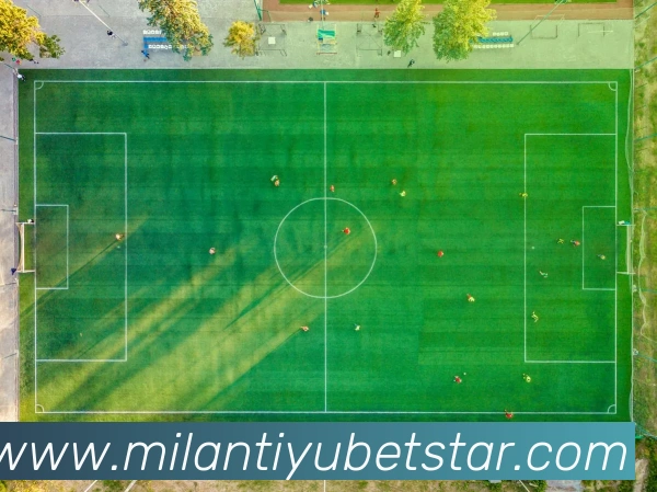 米兰体育平台生态图